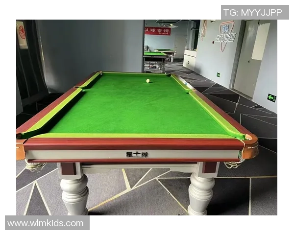 我国星牌受邀到会2025年世界台球联合会年度成员国大会